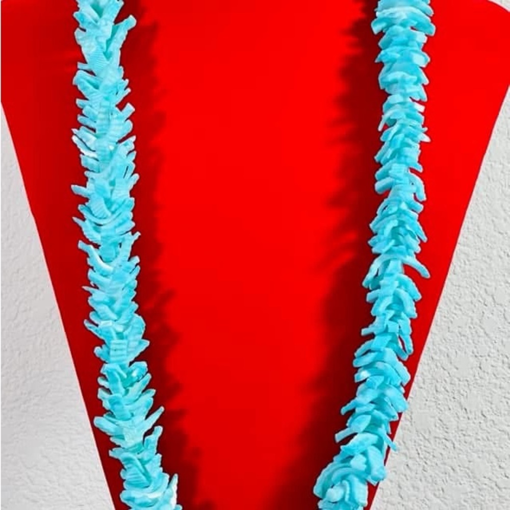 Vibrant Sea Shell Necklace Set